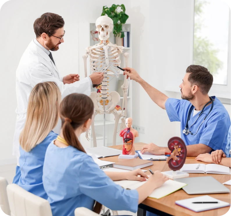 Medical students learning with skeleton model.
