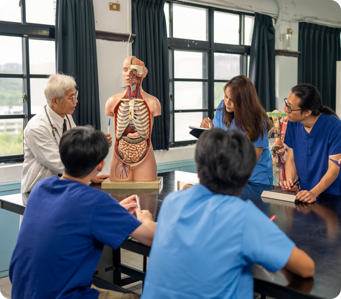 Medical students studying anatomical model together.